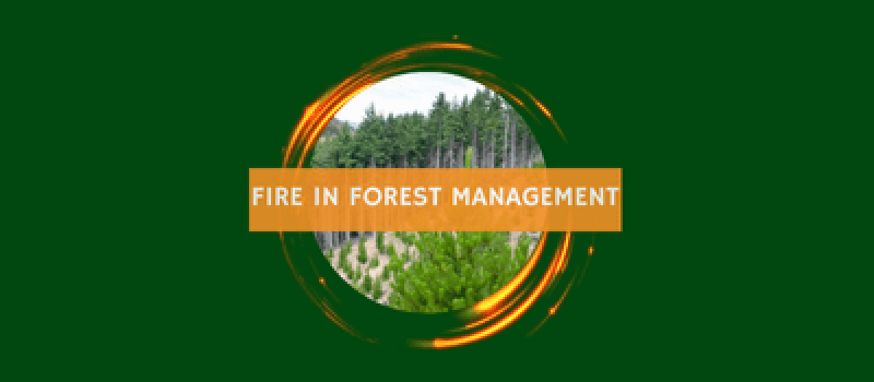 Fire in Forest Management (400 x 200 px)